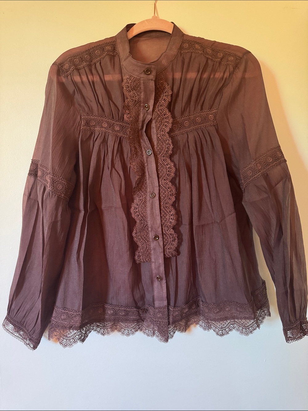 Lace-Trim Button Front Blouse - Brown